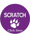 Scratch